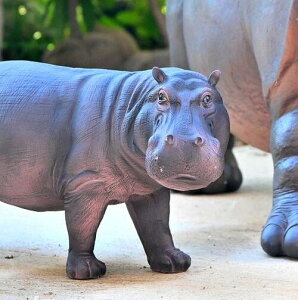 쐶̉@Jo̒u@Jo@LYLAȒu@~jJo@ujLrՁ@񂨒⌺ւɏgoodI{̂悤Ȓu