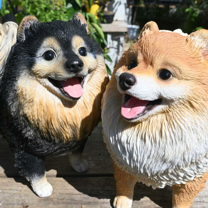 楽天市場】ポメラニアン 兄弟 タンとモコ 置物 かわいい置物 犬の置物 