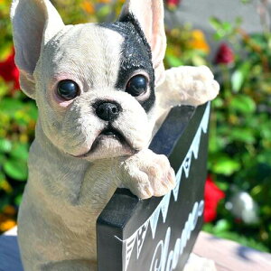 `AttY@EGJ{[ht`uhbO@WelcometũAgj[ւ7ɂǂBVzjȂǂ̃v[gɂ҂łB