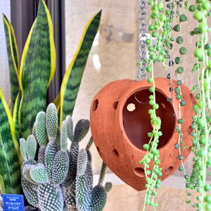 Ԃ牺eRb^@n[gK[fXJv`[eRb^@nMOO[K[fI[ig