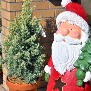 NEW2024NrbOT^A@[NX}XT^N[X@IuWF@rbO^NX}X@ց@킢̍~G߂̏ɁB[NX}Xv[gɂ҂łB