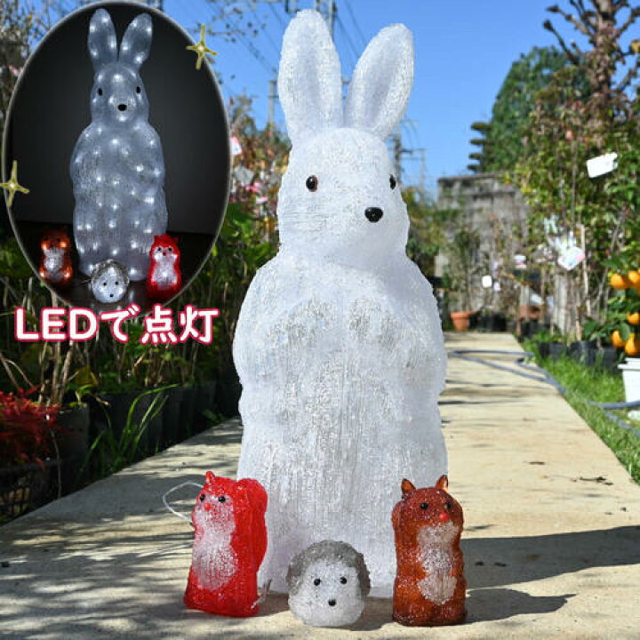 楽天市場】2024年NEW クリスマス うさぎ ハリネズミ リス LED セット 
