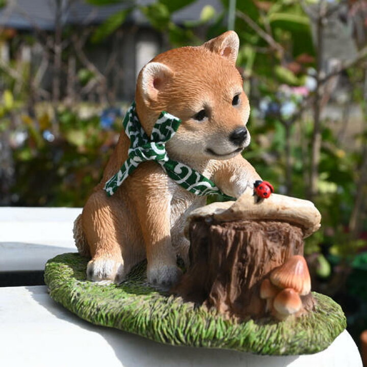 楽天市場】柴犬 アドベンチャー 冒険 モモ 豆柴 置物 小さい置物 玄関 
