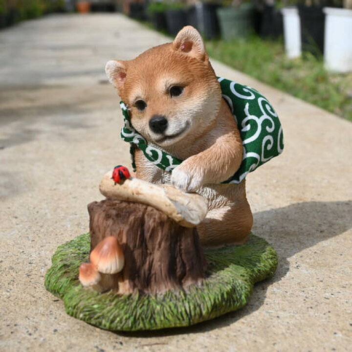 楽天市場】柴犬 アドベンチャー 冒険 モモ 豆柴 置物 小さい置物 玄関 