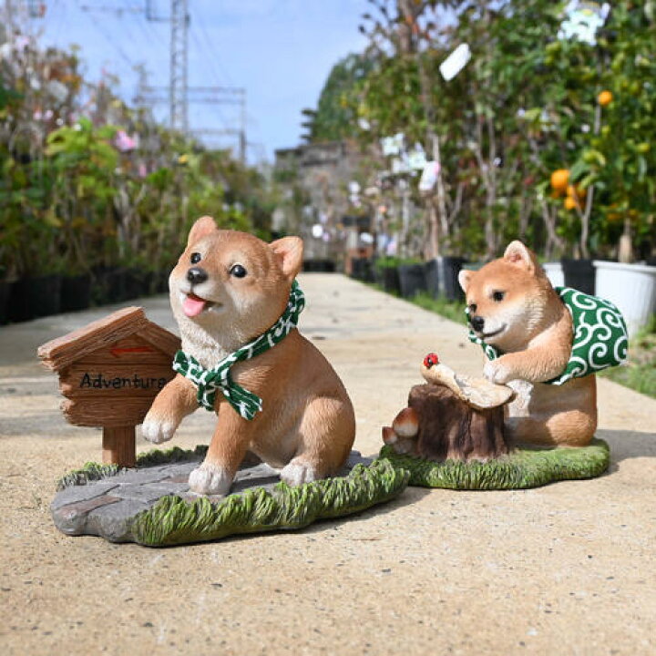 楽天市場】柴犬 アドベンチャー 冒険 モモ コタロウ 2つセット豆柴 