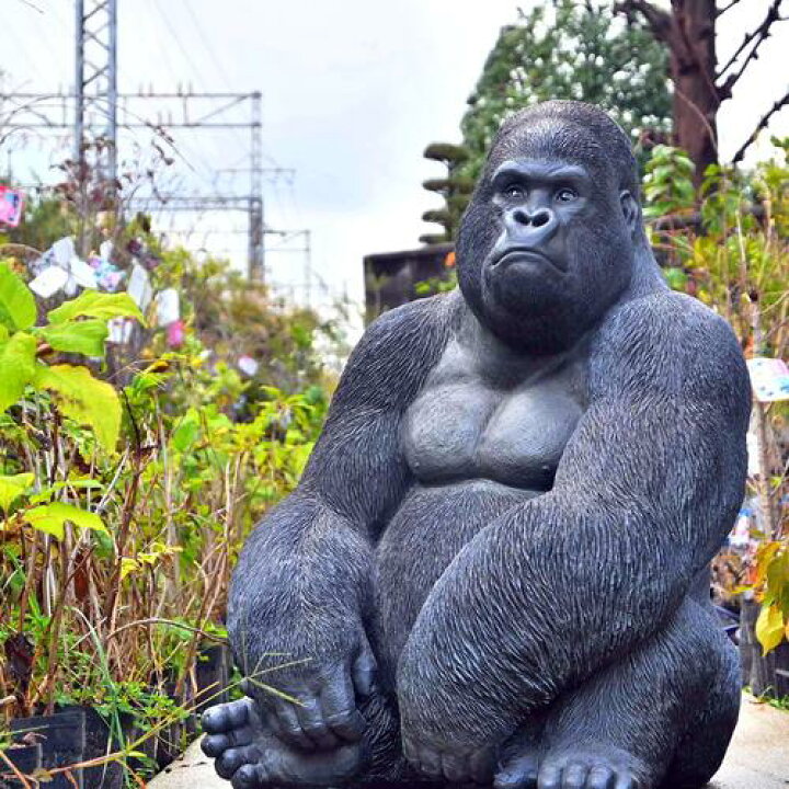 楽天市場】ごりらのゴリと呼ばれた男 政宗リアルな置物 男前な置物 
