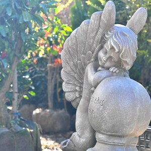 ˃GWFVg̒u@u@S[WX˓Vg@K@K⌺ւɏƖڂ䂫܂Bv[gɂǂB