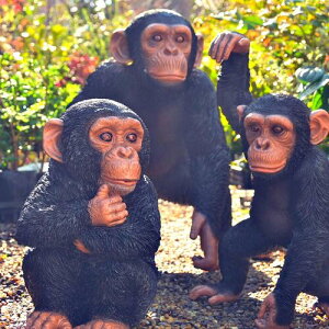 `pW[̒u@3ZbgԂ؂@݂@݂񃊃AȒu@킢u@u`pW[@͂悢@[@⌺ւɏgoodI{̂悤