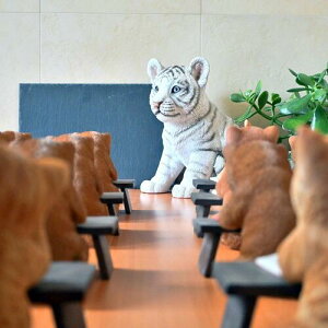 都立城山高校 2年7組 豆柴 子猫 ホワイトタイガー 置物小さい置物 こまごました置物玄関に飾ったり、お部屋に飾ったり。お庭や玄関先、台所やデスクにも置けます。プレゼントに