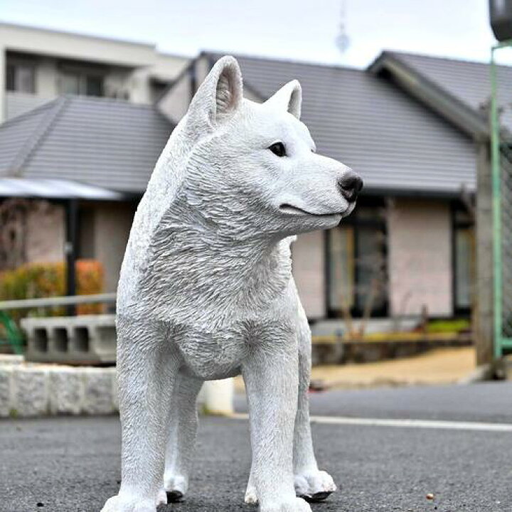 楽天市場】吠えないし白の柴犬 犬 こゆき置物 かわいい置物 犬の置物 