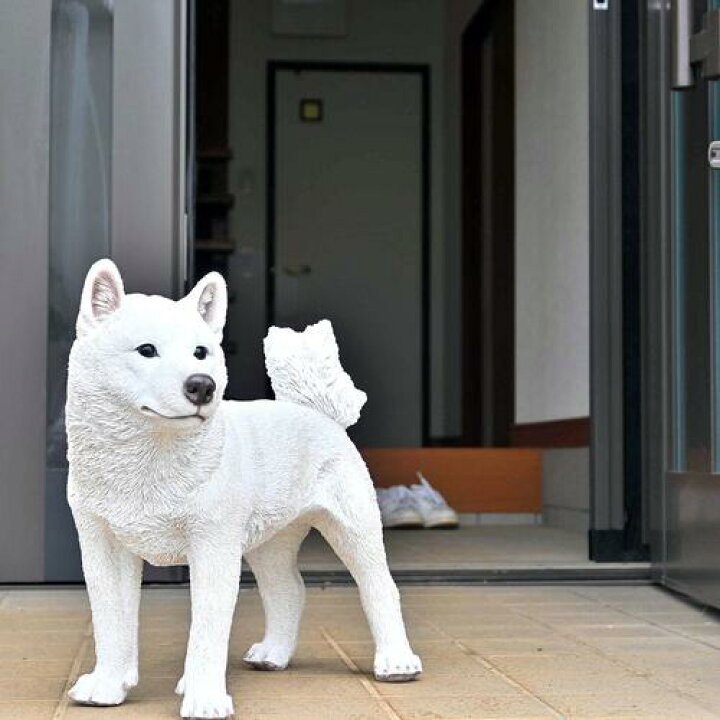 楽天市場】吠えないし白の柴犬 犬 こゆき置物 かわいい置物 犬の置物 