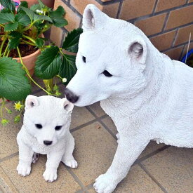 柴犬　豆柴　こゆき　ゆきりん2つセット　置物　かわいい置物　犬の置物白い犬　白い柴犬　白柴　マメシバお庭や玄関に飾るとgood！本物のような置物