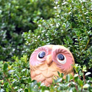 フクロウ ミニふくろう 梟 キュンまんまるおめめ ふくろう 置物幸福 魔除け 可愛い置物お庭や玄関はもちろん、お部屋にも飾れます。