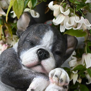 @t`uhbO@A|u@킢u@Qq@⌺ւɍ܂Bv[gɂǂB