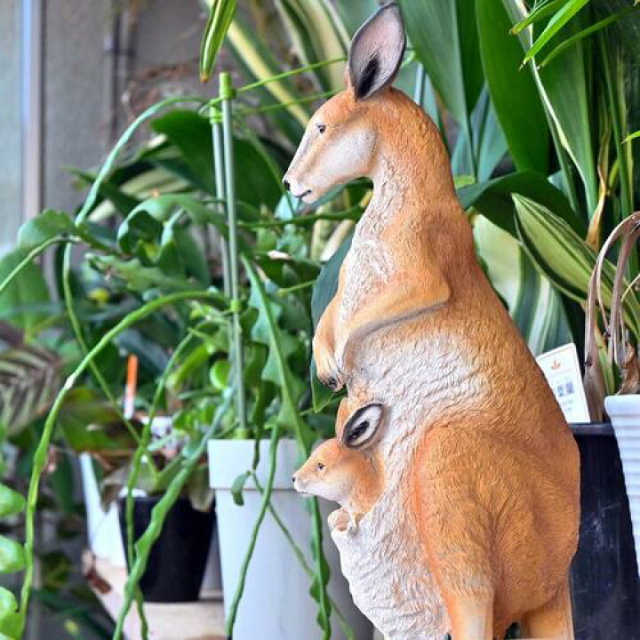 楽天市場】カンガルー ポッケに赤ちゃんリアルな置物 かわいい置物 