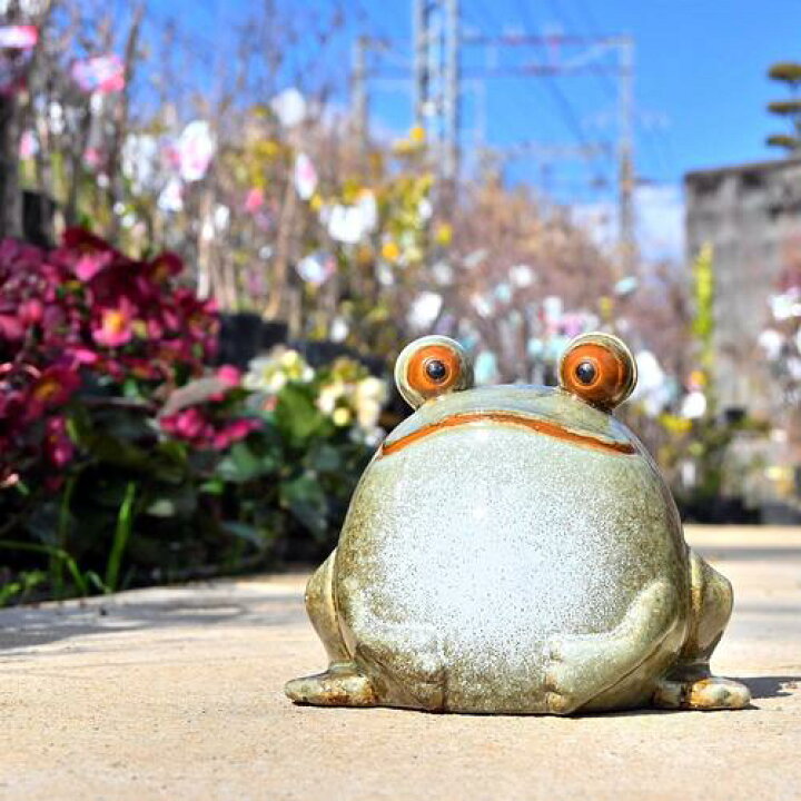 楽天市場】陶器まん丸出目蛙 かえる置物 かわいい置物 カエルの置物 