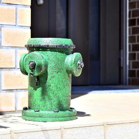 ニューヨークの消火栓　鉢　緑置物　プランター　鉢植え変わったプランター　お庭や玄関に。新築祝いなど、プレゼントにもどうぞ。
