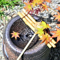 楽天市場】電動つくばい ポンプ おすすめの通販