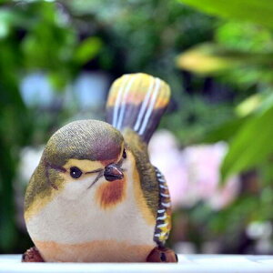 JqH@~jo[h@u@킢u@̒u@~j@@@o[h⌺ւɏĂÃCeAƂĂ߂łB