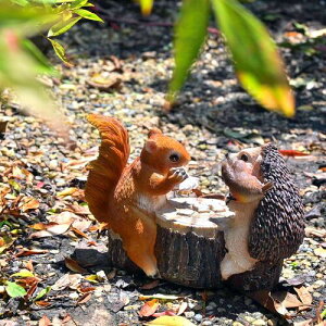 XƃnlY~@gvu@nlY~@Xn[ƃbX@gv@ooւɏAɏBfXNɂu܂B