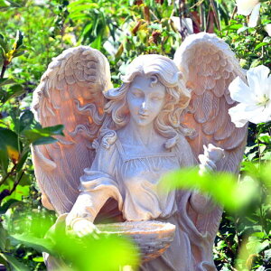 [WGWFtB_[B(rbg)u@ĂVg@HߓVg@GWF@A}lւɏƃS[WXɂȂ܂B₨ɂB