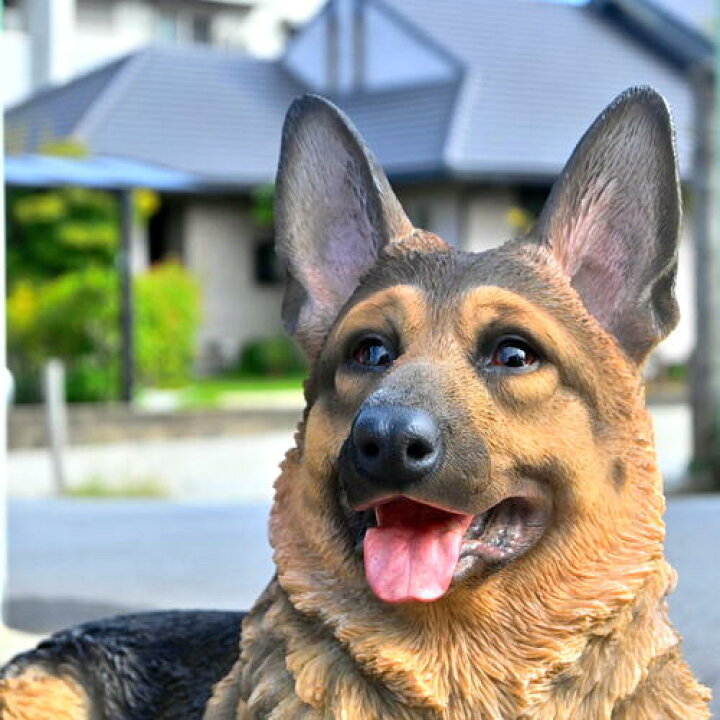 楽天市場】2026年のかっこい番犬ジャーマンシェパード いぬ 犬の置物 