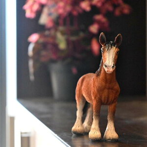 n@n@uE@~ju@AȒu@n̒u⌺ւɁB{̂悤ȒuB