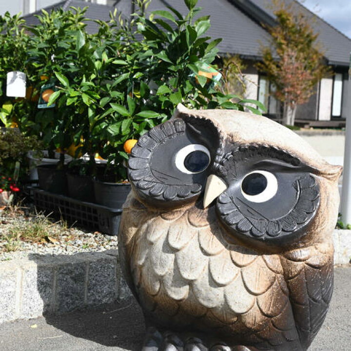 楽天市場】大きい幸せフクロウ特大信楽焼き 置物 首かしげふくろう粉引 