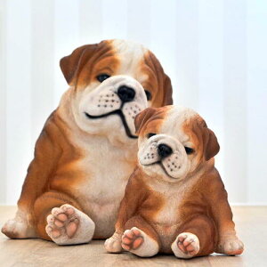 uhbO@2Zbg@Ղ偕~jՂ@eq@ӂɂӂɂ@u@̒u⌺֐ɁBv[gɂǂBvCVAXƃvCVAXJr