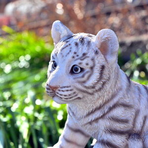 lRȁ@Ԃ@zCg^CK[u@킢u@Ԃ̒ug@^CK[@xKg⌺ցAɂ܂Bv[gɂǂB