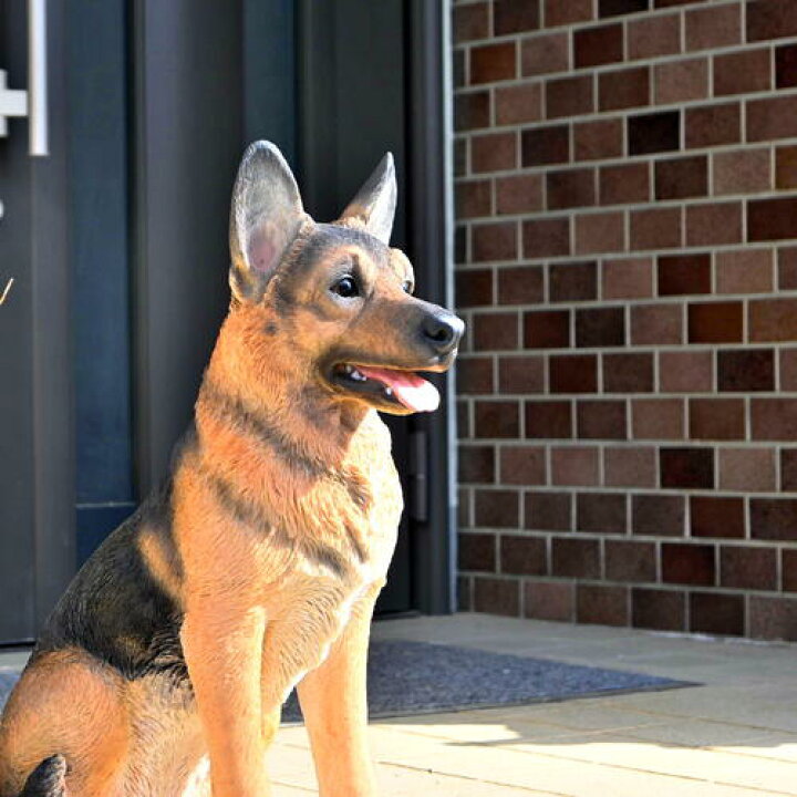 楽天市場】2026年のかっこい番犬ジャーマンシェパード小さめ いぬ 犬の 