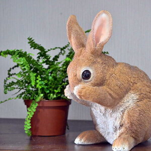 rbgM@@B̒u@u@F{̂悤Ȓu@⌺ւ͂AɂBv[gɂǂB