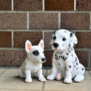 _VA()@ueA@2Zbg@Ԃ@̌񂱁@@ʁ@ʃ`R`bv@{{VR񂿂@̒u@u@u