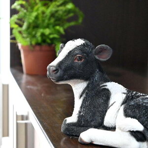 ()@q@@u@AȒu@̒u⌺ցAɂǂB{̂悤ȒuBJEJEt@[