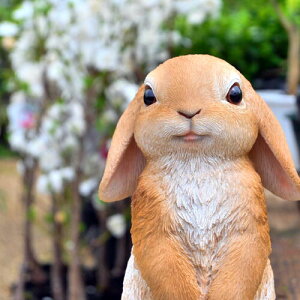 ݂݂@@yXu@u@rbg@bvC[̒u@ꎨ@@񂨒⌺ւɏƂ킢łBv[gɂǂB