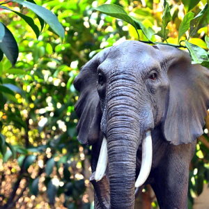 ]E̒u@AȒu@킢u@u@ۃAtJہ@h^񂨒⌺ւɏgoodI{̂悤Ȓu