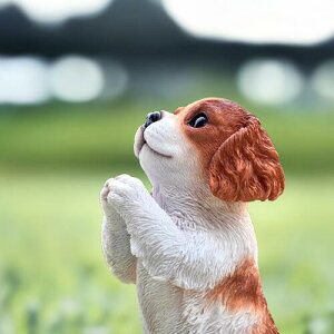 おねだりキャバリア 中世の騎士わんこ 犬 いぬ チャーリーキャバリア・キング・チャールズ・スパニエルブレインハイム 白 茶色わんちゃん 犬の置物 可愛い置物 置物お庭や玄