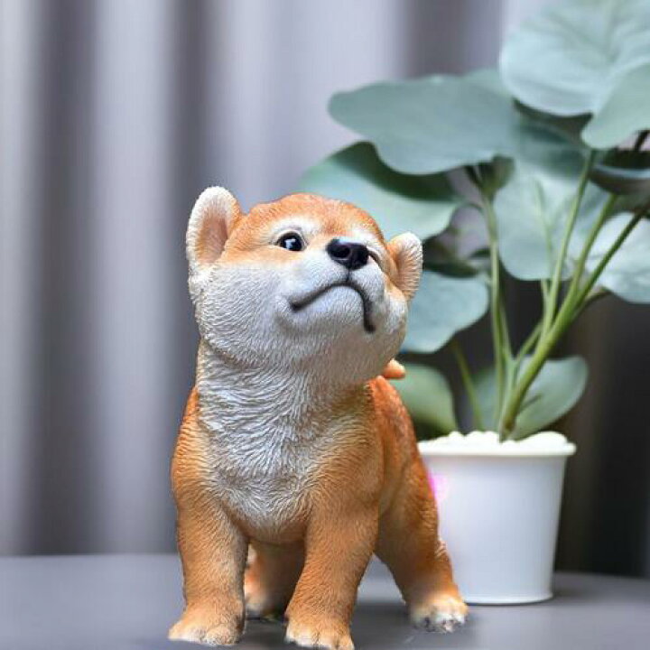 楽天市場】柴犬 のびっと ころ太わんこ 犬 いぬわんちゃん 犬の置物 