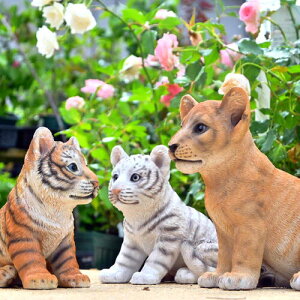 lRȁ@Ԃ@2Zbgu@킢u@Ԃ̒uCI@g@zCg^CK[⌺ցAɂ܂Bv[gɂǂB