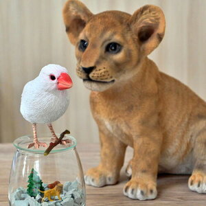 CIƏ@2ZbgShƃu`[u@킢u@Ԃ񃉃CI@@⌺ցAɂ܂Bv[gɂǂB