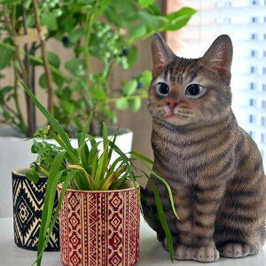 ueBbVV[gwALWg()AWAv^[@ubNbh@3Zbgu@u@Lbg@~jv^[L@lR̒u@ɂ񂱁@AWAG