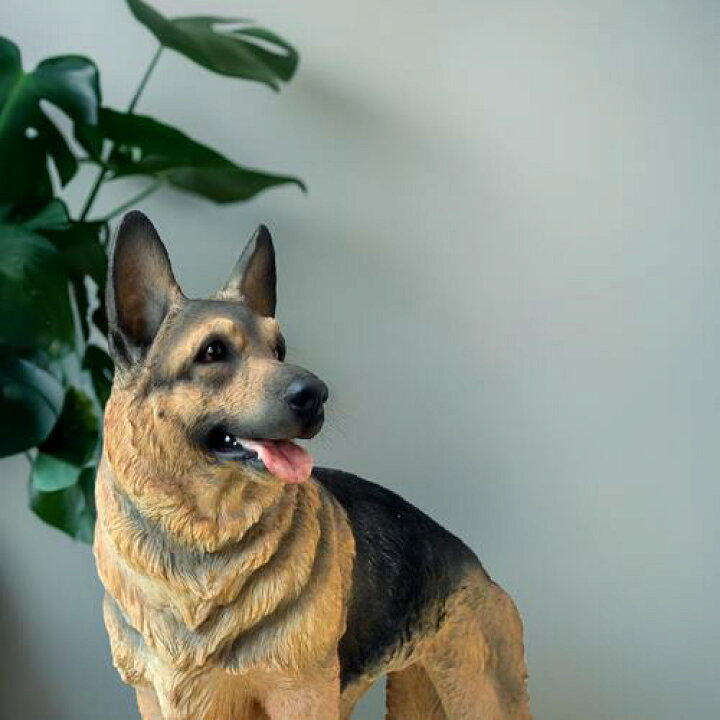 楽天市場】防犯対策に噛まない番犬2026年のかっこい番犬置物 