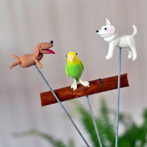 ~jK[fsbN@3Zbg@_bNXtg@`@ZLZCCR@@񂱁@@CR@K[fjO@@@K[fANZT[@̍ʂ@낢@킢