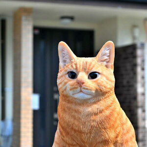 ueBbVV[gwAg@W[@u@u@Lbg@L@lR@ɂ񂱁@lR̒u@킢@gL@⌺ւɏƂ킢łB@v