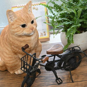 ueBbVV[gwAg@]ԁ@2Zbg@g@u@u@Lbg@oCN@Be[WL@ɂ񂱁@CeA@NVbN@⌺ւɏ