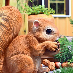 X(ڂ)@ibg@X̒u@肷@ڂ@Jv@⌺ւ͂AɂBv[gɂǂB