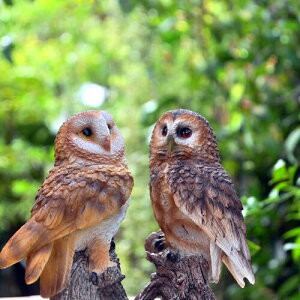 ӂ낤()@2Zbg@~jtNE@u@ƃA@_@ӂ낤̒u@u@؂ɂƂ܂ӂ낤@