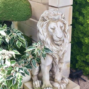 Stone statue@[KCI@CMX@C@A[T[@Α@2017@CI@Ќ@SPARTA STATUES@⌺֐AɂǂB@AXg[@{̐Α