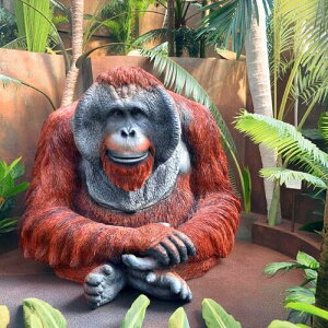 WOOBIA @IE[^@I@AȒu@킢u@u@IE[^@f@⌺ւɏgoodI@{̂悤Ȓu