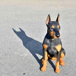 WOOBIA@h[x}@ʁ@̒uh[x}sbV@u@zXuA@^@Ԍ@q@Io[⌺֐ɒugoodI